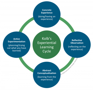 Different Strokes for Different Learning Styles