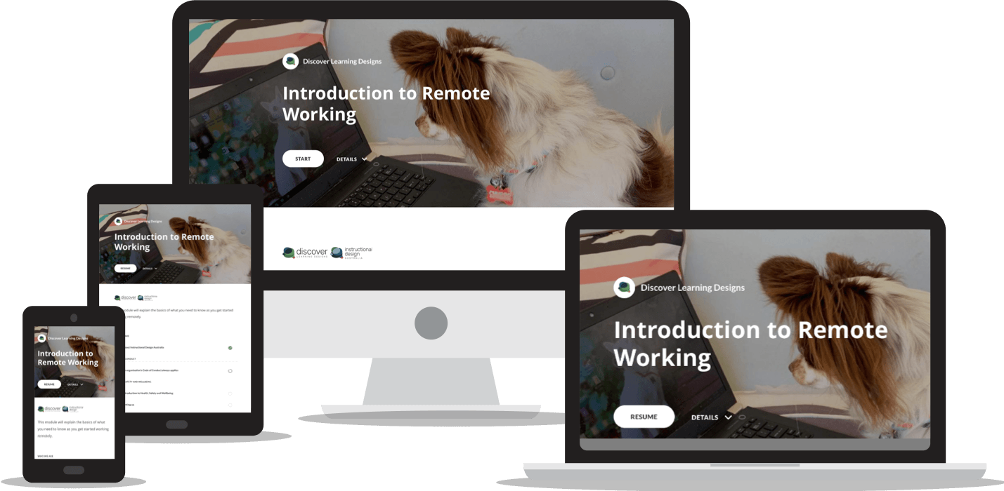 Free Remote Working Course